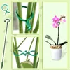 Garden Supplies Other 30Pcs Single Stem Plant Support Stake With 20 Pcs Cage Rings Flower Stakes For Tomatoes