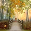 Wallpapers Custom Mural Wallpaper 3d Forest elf natuurlandschap schilderen woonkamer tv -bank slaapkamer achtergrond muur decor papel de parede