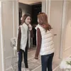 여성 조끼 여성 푹신한 여성 스탠드 칼라 자켓 코트 가을 겉옷 퍼퍼 숙녀 민소매 조끼 G85