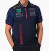 new Formula One racing polo suit Spring and Autumn team hoodie customization