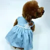 Hundkläder husdjur denim kjol sommar chivas valp kostym pomerania maltesisk schnauzer poodle klädklänningar katt