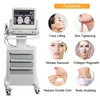 Andere schoonheidsuitrusting Medische kwaliteit HIFU Hoge intensiteit Gerichte ultrasone lift Wrinkle Removal Machine met 3 of 5 koppen voor gezicht en body slankelen