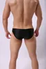 Underbyxor Male Sexy Underwear Briefs Ritning Light Nylon Men's Gay Cueca Calzoncillos Hombre Slip Homme