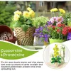 Garden Supplies Other 30Pcs Single Stem Plant Support Stake With 20 Pcs Cage Rings Flower Stakes For Tomatoes