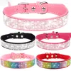 Collari per cani Decorazioni per animali domestici Collare con strass lucidi Collana squisita Corda per mani di piccole e medie dimensioni