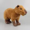 30 × 20 سم محاكاة Capybara Plush Toy Kawaii Capybara حشو دمية ناعمة Capybara للحيوانات للأطفال