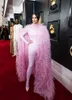 Den 65: e Grammy Pink Long Feather Cape Cloak Evening Dress