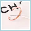 Bangle armband voor vrouwen mode hand minnaar bruiloft manchet drop levering sieraden armbanden dhlzr