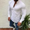 Camicie casual da uomo Camicia di lino da uomo autunnale Tinta unita Colletto rovesciato Manica lunga Gentleman Fitness Abiti eleganti