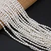 Perlen Andere Natürliche Perle Süßwasserperlen Strang Kleine Perle Für DIY Schmuckherstellung Ohrring Halskette Armband Frauen Größe 3-6mmAndere