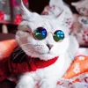 Vêtements pour chiens lunettes pour animaux de compagnie mignon rétro rond chat lunettes de soleil réfléchissantes pour petits chiens et chats Po accessoires accessoires