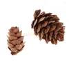 Christmas Decorations MagiDeal 50Pcs Mixed Size Mini Natural Rustic Dried Pine Cones In Bulk For Party Ornament Florists Wrapping Decoration