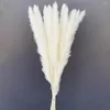 装飾的な花15pcsホワイトパンパスグラス人工植物天然ドライフラワーブーケウェディングデコレーションホームアレンジDIYコロケーション