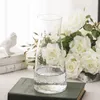 Vasos estilo Japão estilo transparente vaso de vidro padrão comprimido de flor moderna tabela de hidroponia criativa