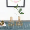 Vasi Vaso in ferro nordico Decorazioni per la casa Vaso da fiori in metallo Porta piante da camera Vaso idroponico per decorazione
