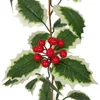 Symulacja kwiatów dekoracyjna świąteczna roślina winorośl Wisząca czerwona jagoda miękka rattan ubieranie się sznurka
