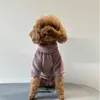 犬のアパレル冬のタディセーター服チワワソフトパピーファッションペット犬用のソリッドカラーデザインデザイン衣服