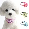 Hondenkragen schattige kleine kat kraag met bloemenmeisje verstelbare petpuppy pitbull pug huisdier ketting accessoires