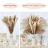 Fleurs décoratives Naturel Séché Herbe De Pampa Décoration Fluffy Plantes Vases Décor Bouquet Boho Pour Tabl