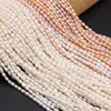 Perlen Andere Natürliche Perle Süßwasserperlen Strang Kleine Perle Für DIY Schmuckherstellung Ohrring Halskette Armband Frauen Größe 3-6mmAndere