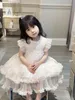 Abiti da sposa per bambina per bambina Abito da torta con stampa di pizzo per neonata Moda per bambini Tutu rosa abbigliamento