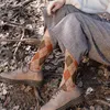 靴下靴下5ペアロット温かいウールウィットナーソックス女性太い綿の靴下レトロカラフルな雪の靴下ハラジュク年クリスマスギフト230215