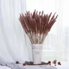 Decorative Flowers 30Pcs Dried Reed Flower Arrangement Natural Pampas Grass For Modern Home Decoration Party Backdrops Wedding Supplies