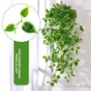 Decoratieve bloemen duurzame kunstmatige plant plastic simulatie wijnstok anti-fading balkon paviljoen hangend druivenblad