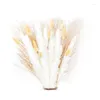 Decoratieve bloemen pampas gras decor 35 pc natuurlijke vaas bloemen arrangement of bruiloft en herfstboeket