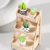 Decoratieve bloemen Cactus Potting indoor tafel van sappige planten kleine pot micro landschap ecologische fles diy ornamenten