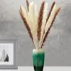 Decorative Flowers Natural Dried Pampas Grass Bouquet 75Pcs Flower Fluffy Branch With White Reed For Wedding Room Home Decor