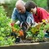 Tuindecoraties 2 stks Rooster standbeeld kip beeldhouwkunst voor tuin decor weerbestendig kip beeldje achtertuin achtertuin huis buiten decoratie