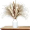 Decorative Flowers Natural Dried Pampas Grass Bouquet 75Pcs Flower Fluffy Branch With White Reed For Wedding Room Home Decor