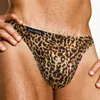 Slip Léopard Hommes Sous-Vêtements Sexy Gay Hommes Mémoires Nylon Respirant Taille Basse Homme Bikini Creux Cuecas Slip Hombre