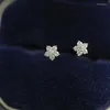 Boucles d'oreilles à tige en argent sterling S925 plaqué or 14 carats, étoile pleine de diamants, Mini fleur à cinq branches, polyvalente pour femme
