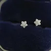 Studörhängen S925 Sterling Silver Plated 14K Gold Star Full of Diamond Mini Five Pointed Flower Versatile Female