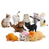 Objetos decorativos Figuras 10 PCs Cat colorido cenário criativo boneca miniature jardim miniaturas Decoração de casa 230217