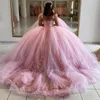 Princess Pink Fluffy Quinceanera Abiti con fiori Abito da ballo a maniche lunghe Vestido De 15 Anos Quinceanera 2023 Sweet 15 Party Dress Abiti da compleanno in pizzo con perline