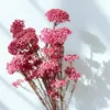 dried flower bridal bouquets