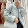 Women's Down 2023 Winter Solid Color Stand Collar Zipper Casual All Match Coat For Ladies Fashion Chic White Duck Jacket