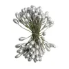 Декоративные цветы 50 шт. 6 мм двойные головы DIY искусственные мини -мини -жемчужные цветочные тычинки