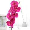 Dekoratif Çiçek Çelenkleri İpek Yapay Kelebek Ork Çiçek Buket Phalaenopsis Sahte Ev Dekorasyon Diy El Sanatları Drop Dhfrk