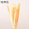 Decorative Flowers & Wreaths Artificial Colorful Bulrush Natural Dried Branch Pampas Grass Home Decor Phragmites Wedding Party SuppliesDecor