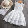 Vestidos de meninas brancos de verão de verão de verão sem coroa de casamento de nobreza, vestido de bola de noite tutu, vestido de crianças florais para pano de menina 230217