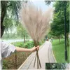 Decorative Flowers Wreaths 5Pcs Faux Pampas Grass Large 120/100/85Cm Flower Bouquet Fake Artificial Decor Tall Fluffy Stems Living Dhki6