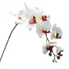 Flores decorativas Phalaenopsis simuladas Orquídea Artificial Realista Butterfly Design 9 Heads Design