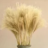 装飾的な花本物の小麦ラベンダーミオソティシルヴァティカデコレーション天然草乾燥ウェディングパーティーdiyスクラップブックブーケフローラルコットン