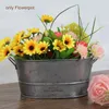 Planters & Pots Container Holder Gray European Style Home Ornament Vintage Decoration Planter Storage Garden Flower Pot Galvanized Iron Balc