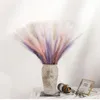 Decoratieve bloemen 5 stks/perceel 71 cm Pampas Grass Multicolor Fluffy Natural Drooged Bleached Bouquet Boho voor huwelijksfeest Home Office Decor