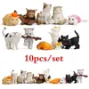 Objetos decorativos Figuras 10 PCs Cat colorido cenário criativo boneca miniature jardim miniaturas Decoração de casa 230217